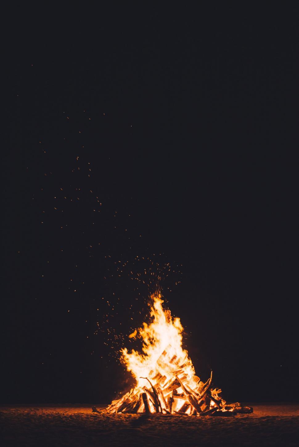 Free Image of Bonfire in the forest  