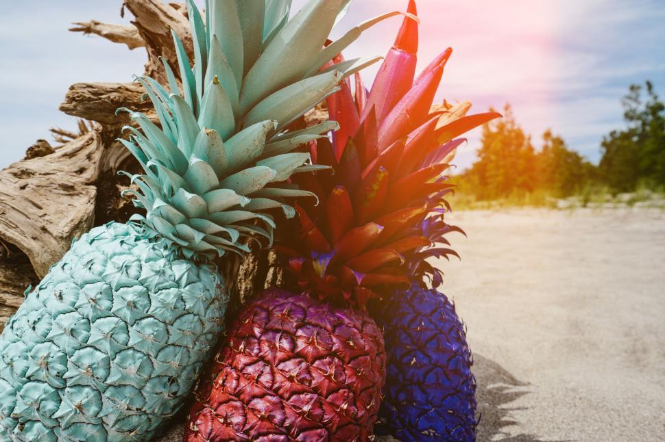 Free Image of Colorful pineapples at beach 