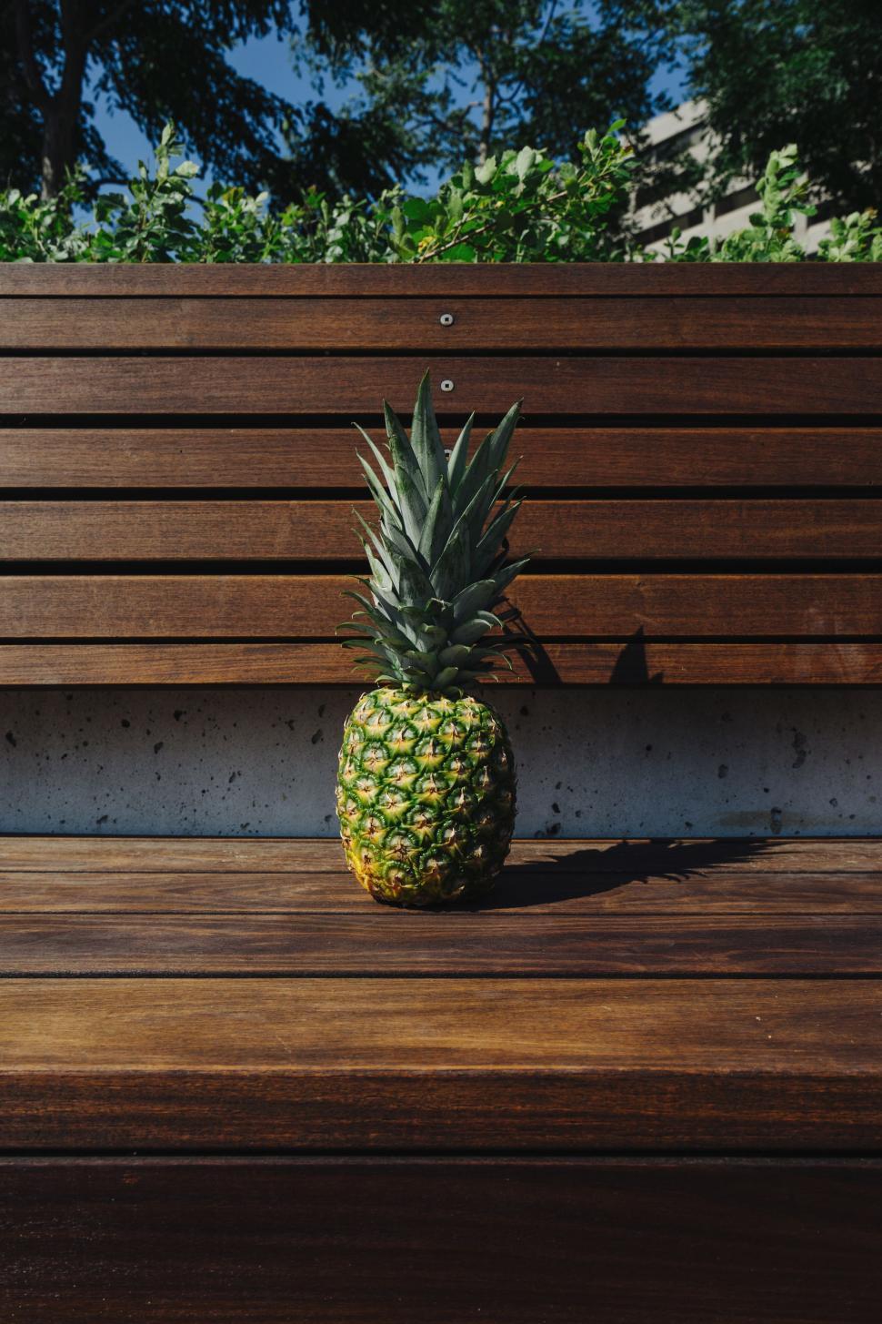 Free Image of Pineapple on bench 