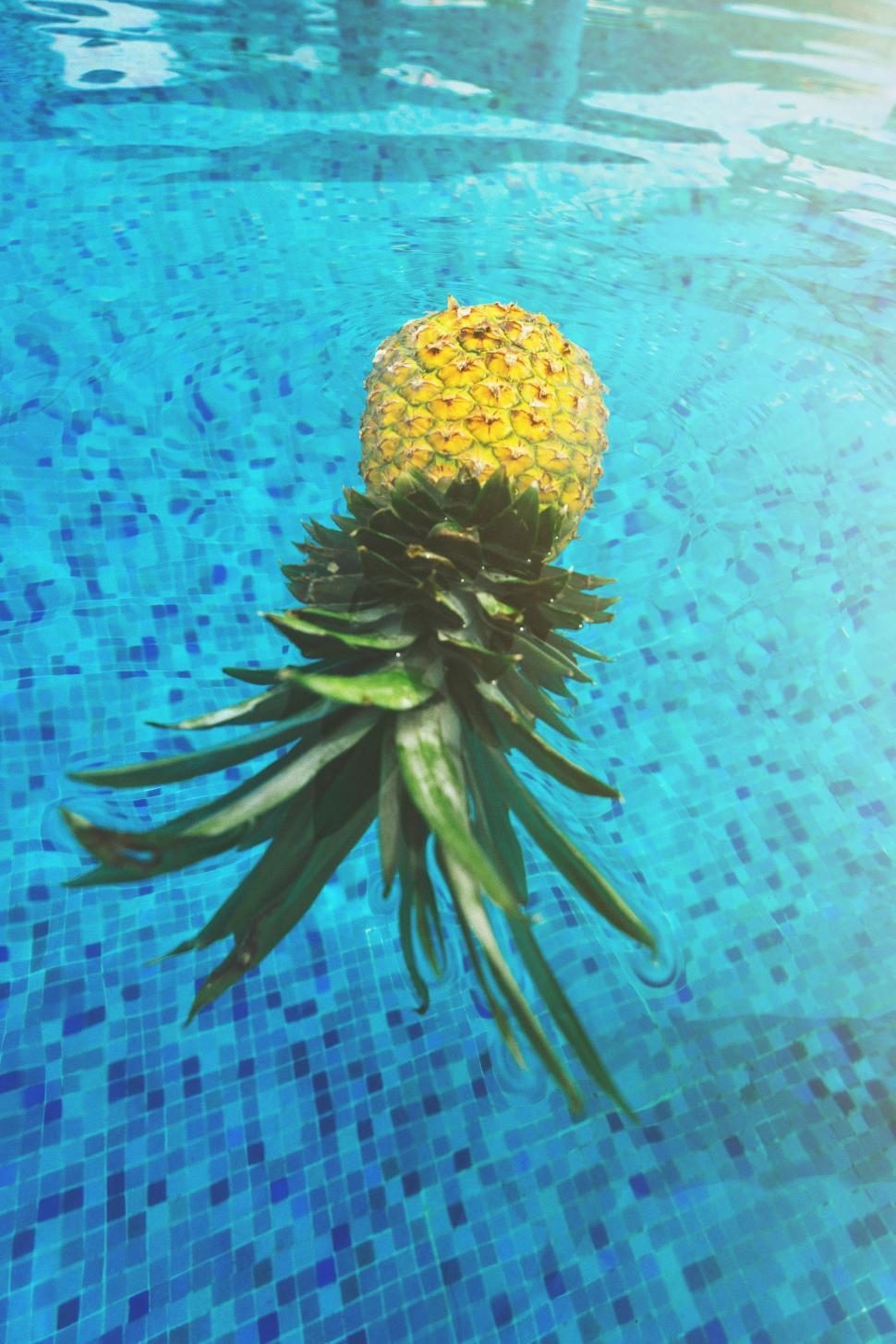Free Image of Pineapple in water  