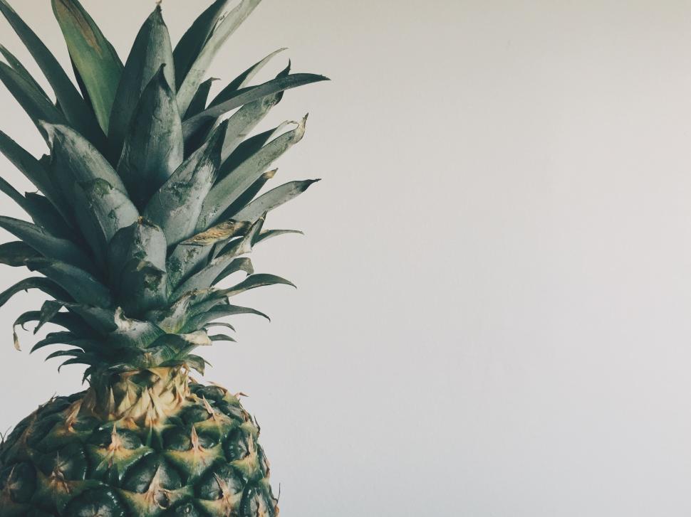 Free Image of Pineapple - detailing  