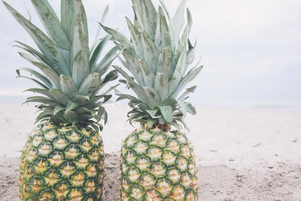 Free Image of Two Pineapple  