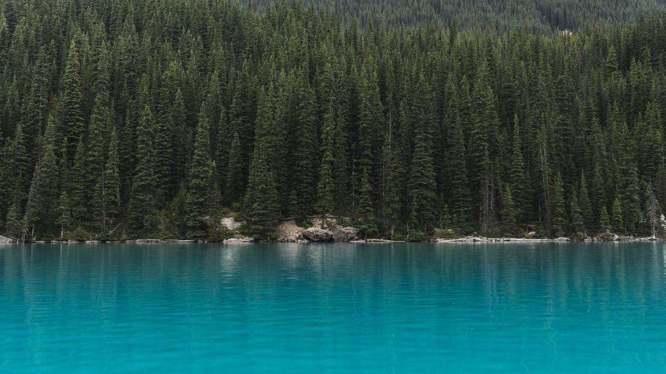 Free Image of Blue Water Lake and Trees  