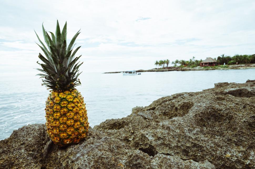 Free Image of Pineapple on beach rock  