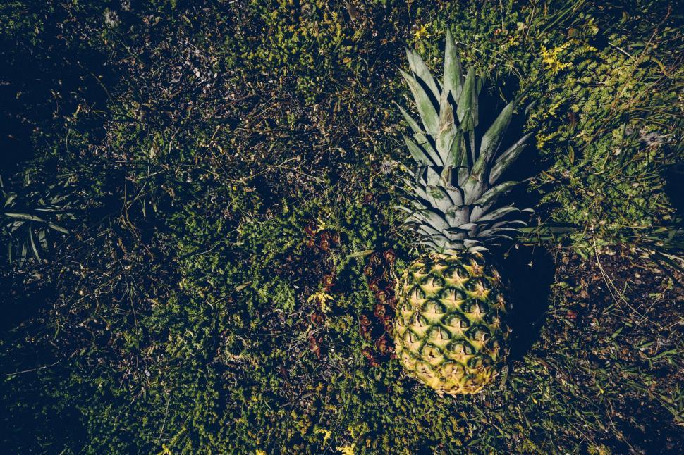 Free Image of Pineapple with green grass - Copy Space  