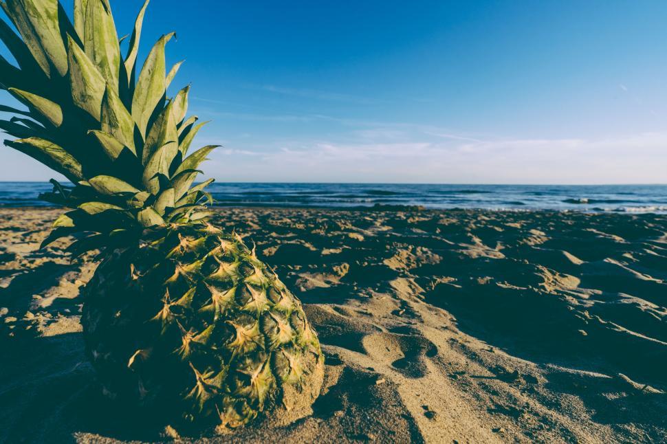 Free Image of Pineapple and Beach  