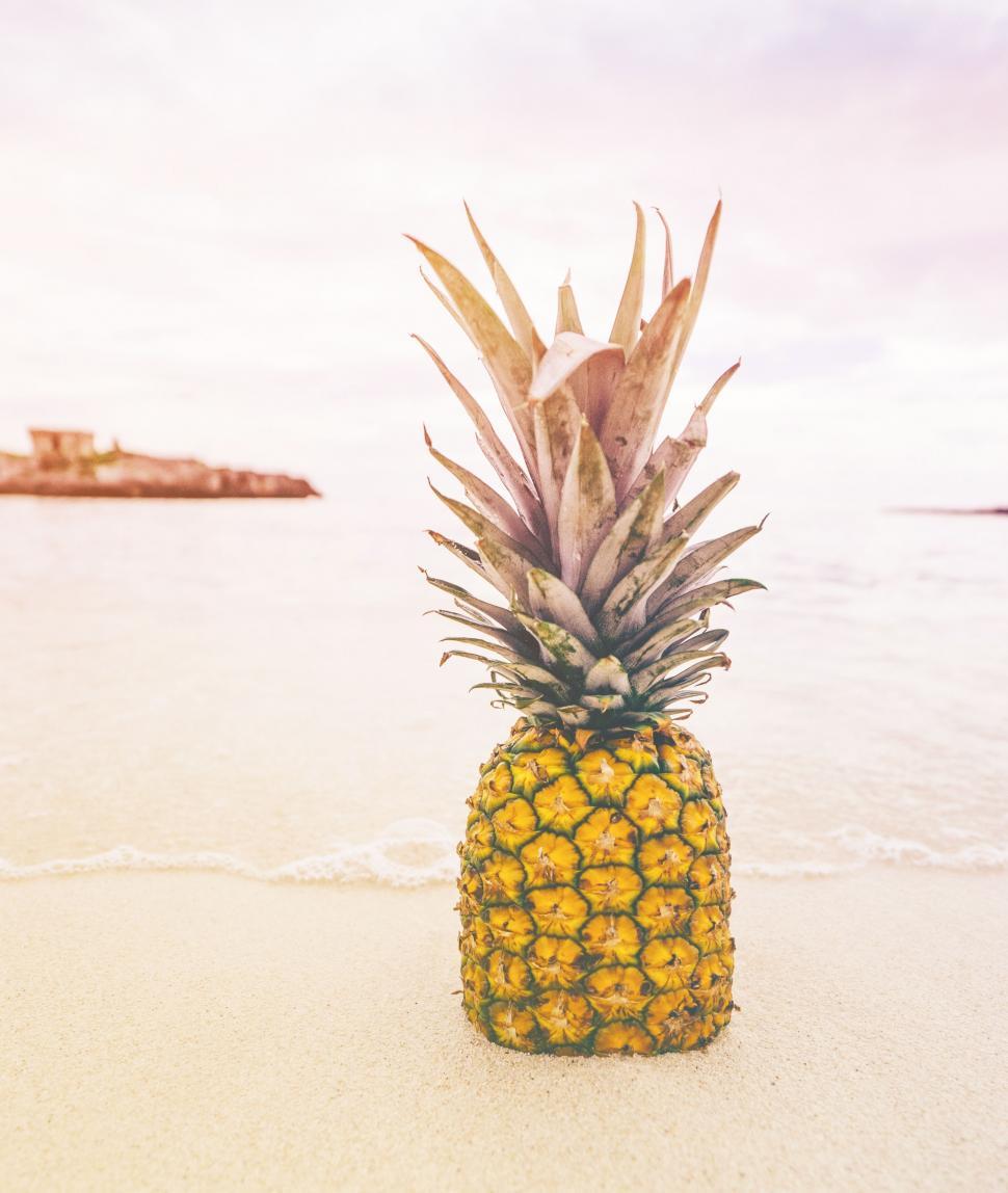 Free Image of Golden Pineapple  