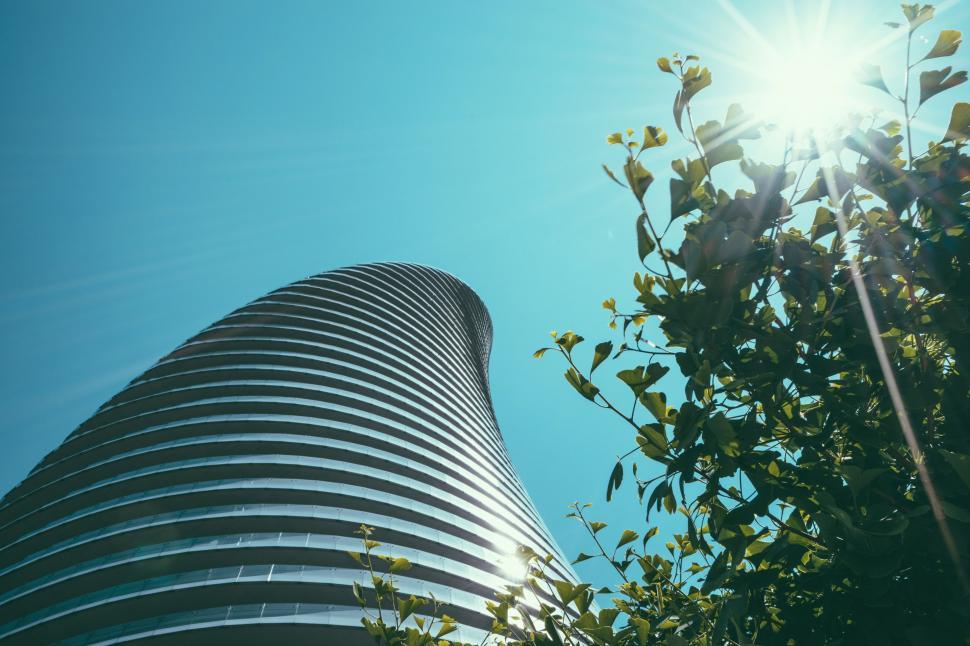 Free Image of Curved Tower and green leaves from Below  
