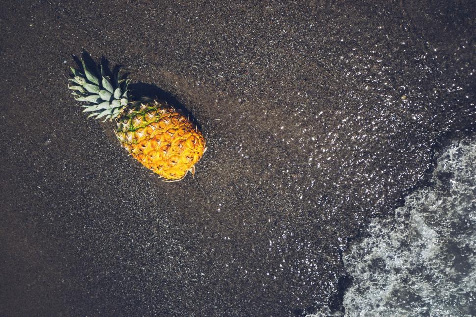 Free Image of Pineapple at shore  