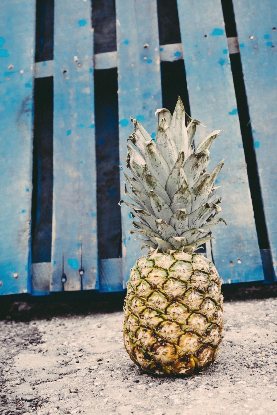 Free Image of Pineapple on asphalt 