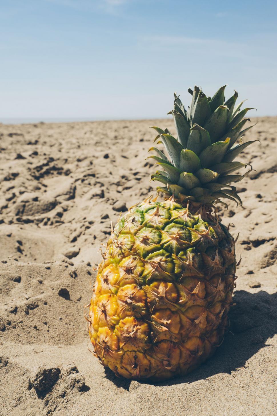 Free Image of Pineapple on beach sand in sunlight  