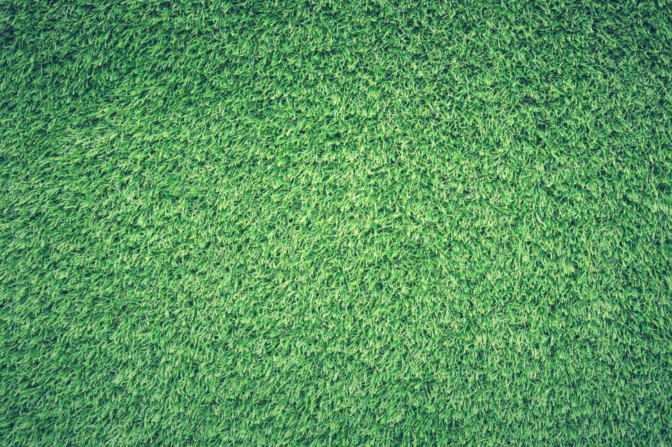 Free Image of Grass - Background  