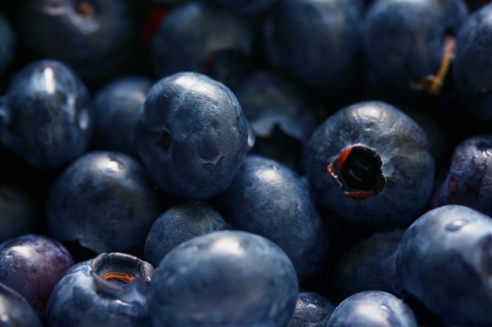 Free Image of Fresh Blueberries - Background  