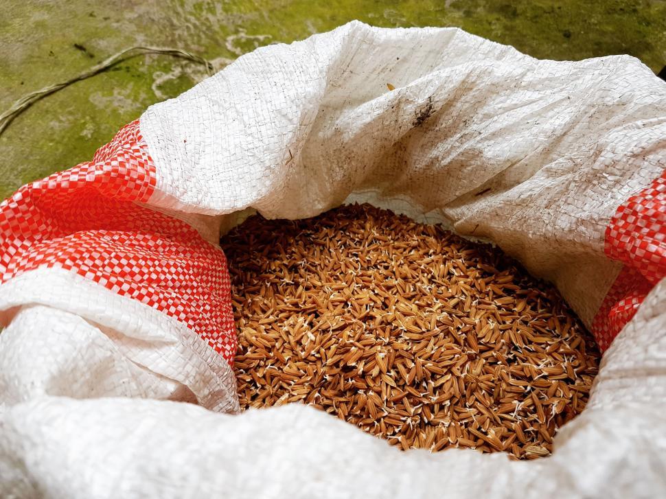Free Image of Red Rice  