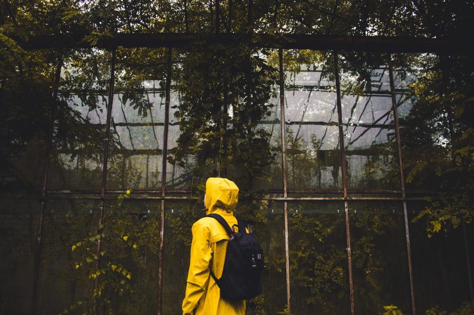 Free Image of Backpacker in Greenhouse  