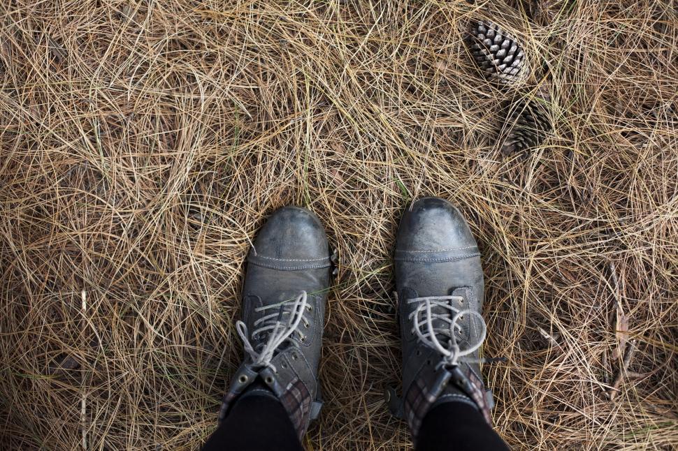 Free Image of Shoes and Conifer Cone 