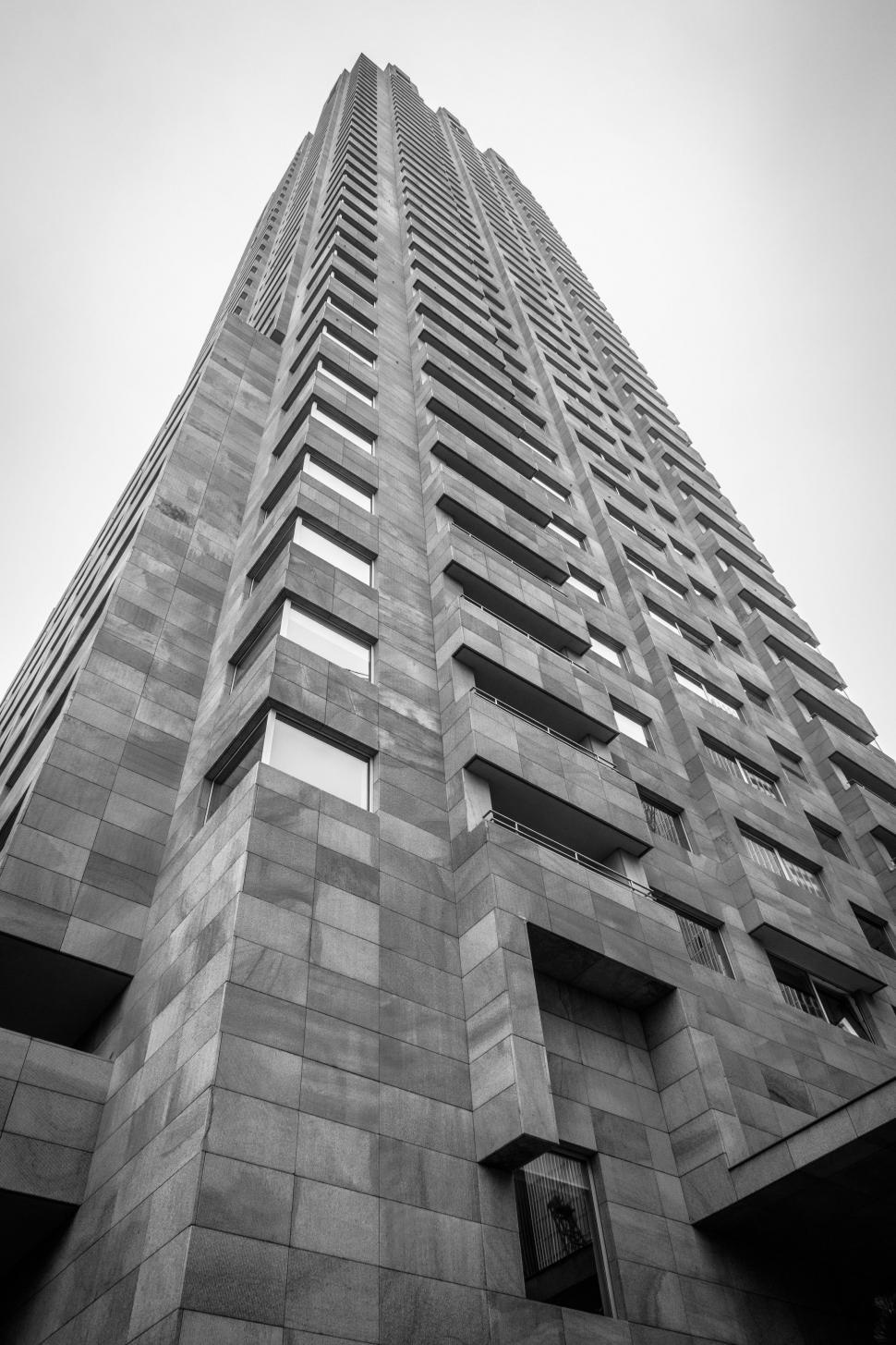 Free Image of Black and white view of skyscraper  