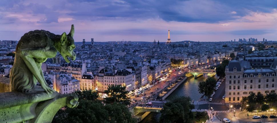 Download Free Stock Photo of Gargoyle and Paris at night  