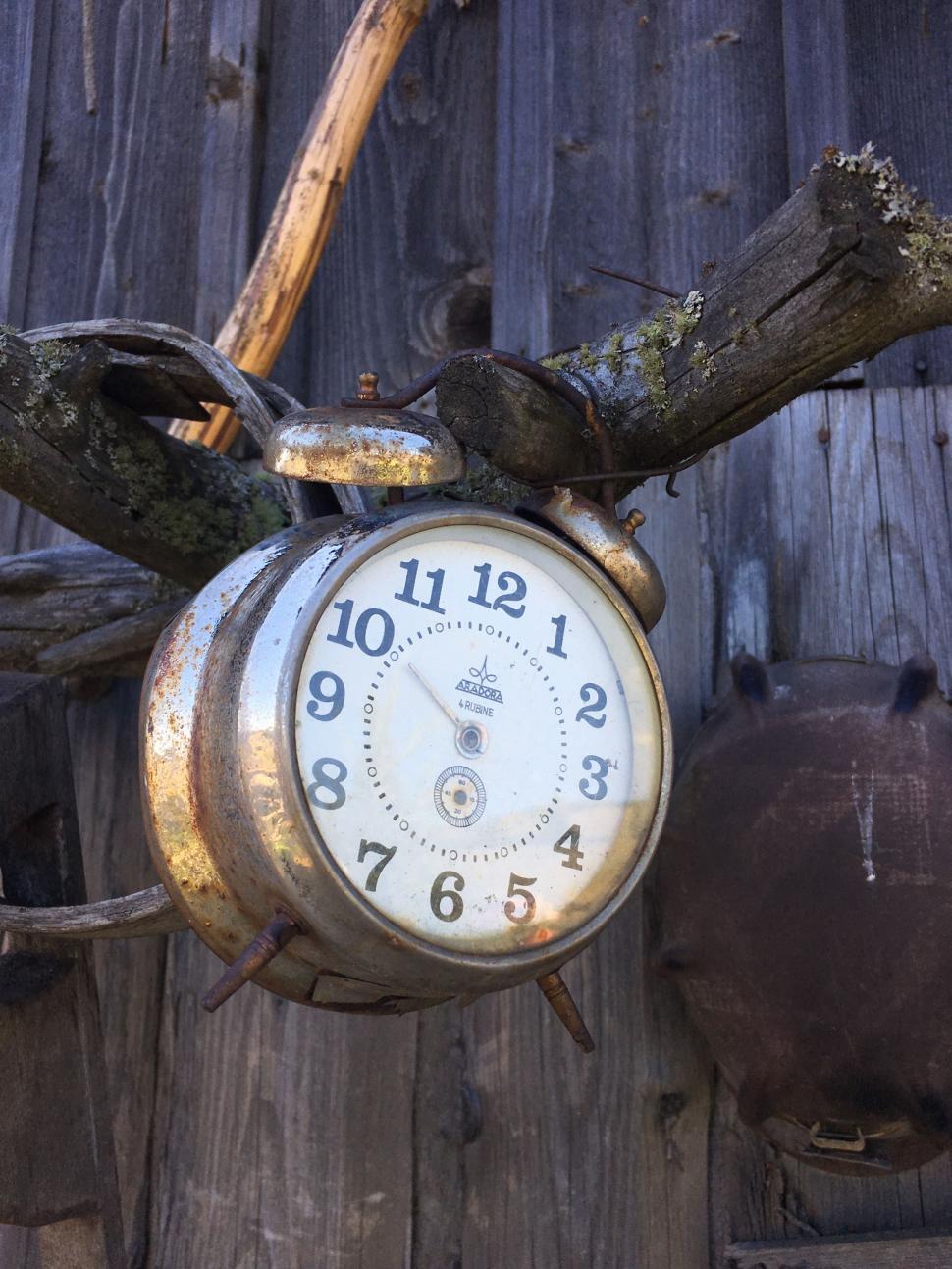 Free Image of Old Clock and Tree 