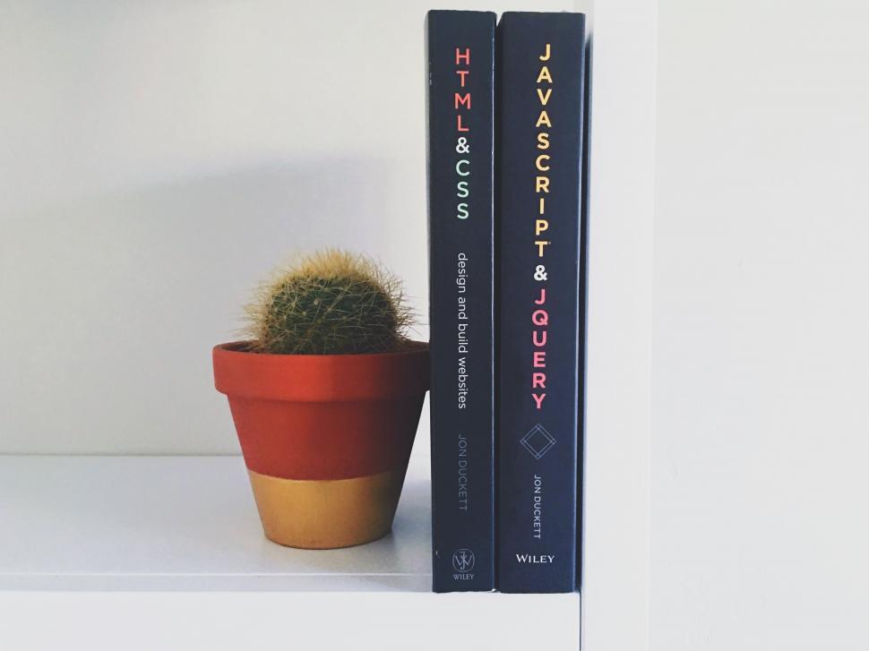 Free Image of Books and Cactus  