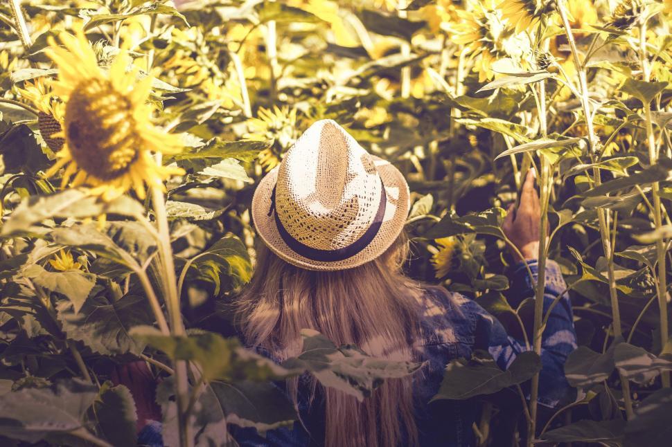 Free Image of Woman in Sunflower Field  