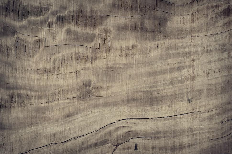Free Image of Wood Tree Stump - background  