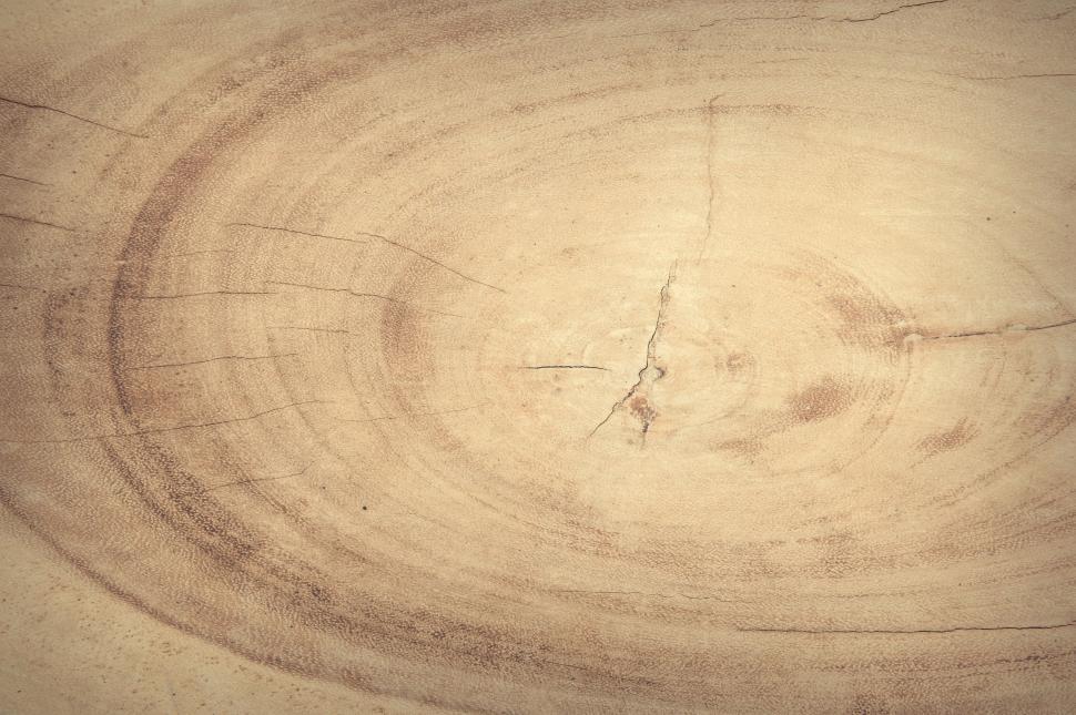 Free Image of Tree Stump Grain - Background  
