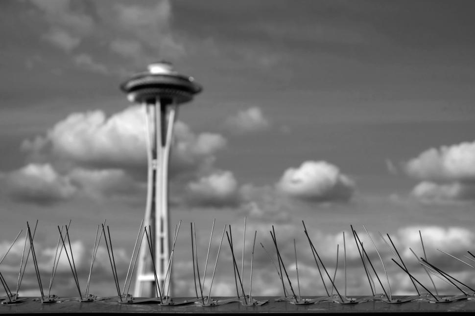 Free Image of Black and white view of Space Needle 