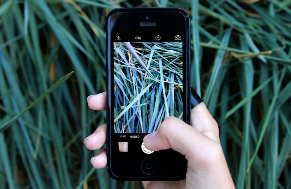Free Image of Taking grass picture with phone  
