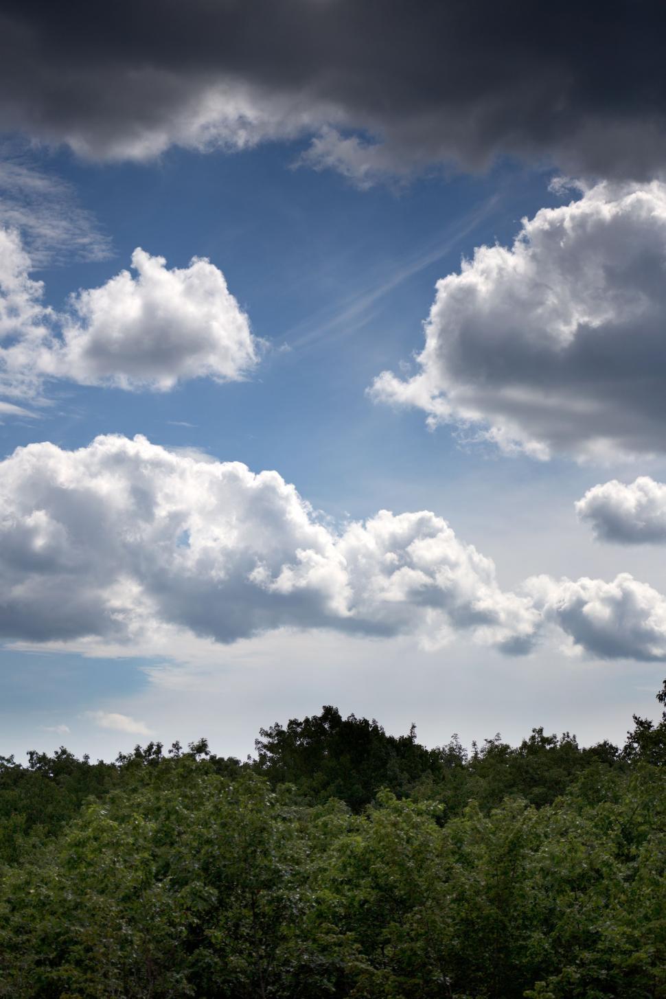 Free Image of Trees and Clouds  