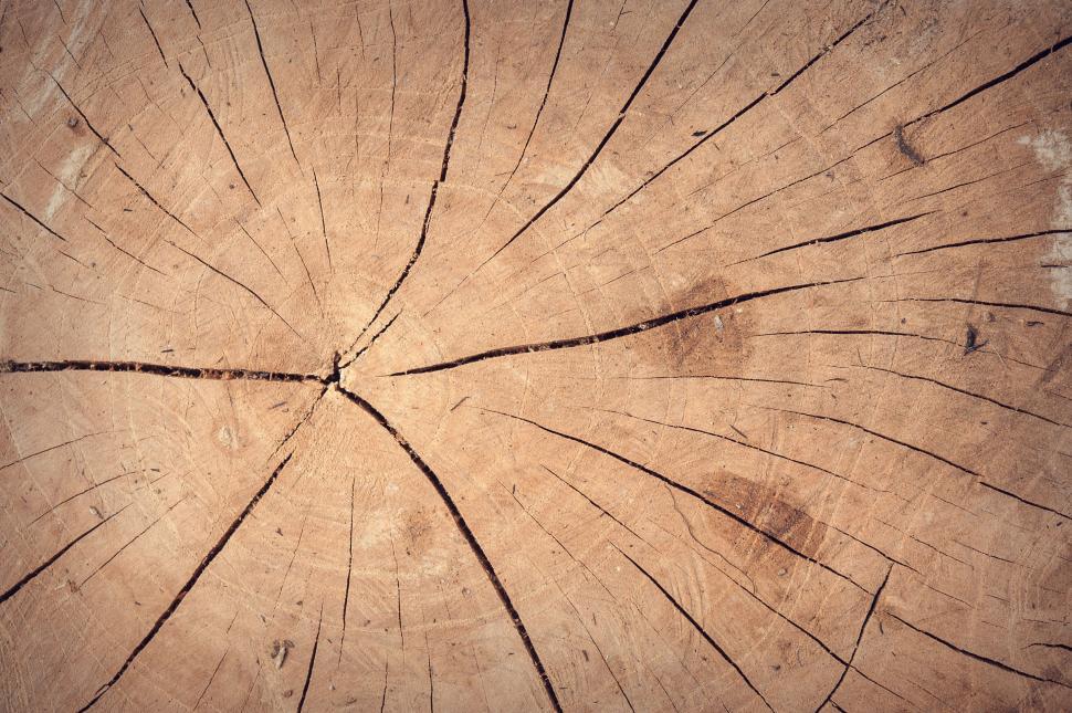Free Image of Cracked Wood  