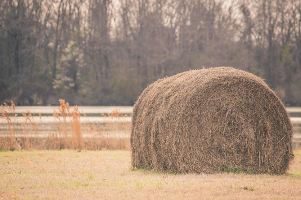 Free Image of Single Rolled Hay Bale  