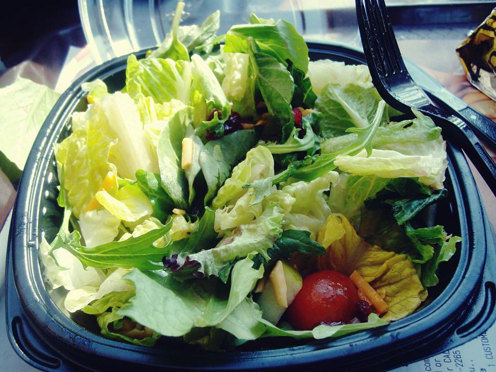 Free Image of Lettuce Salad  