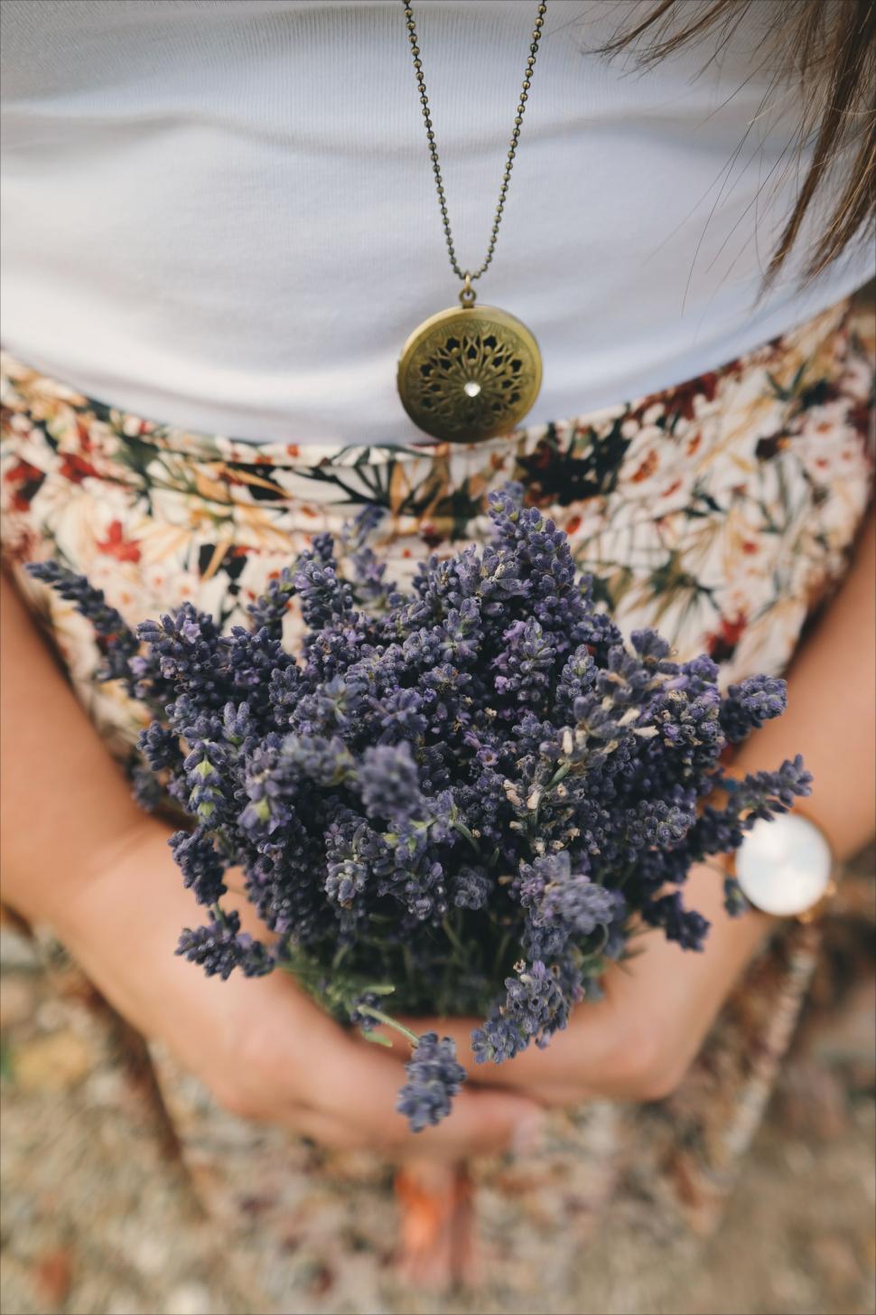 Free Image of Lavender Flower bouquet in hand 