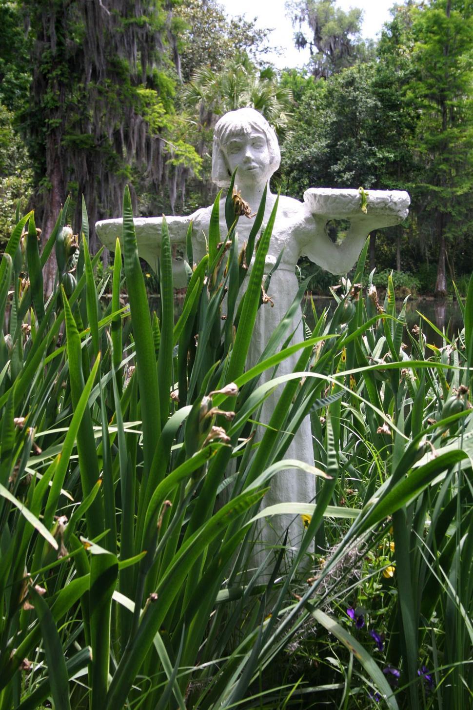 Free Image of Statue in the reeds 