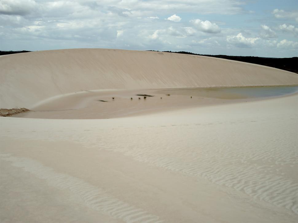 Free Image of Group of People Standing on Top of a Sand Dune 