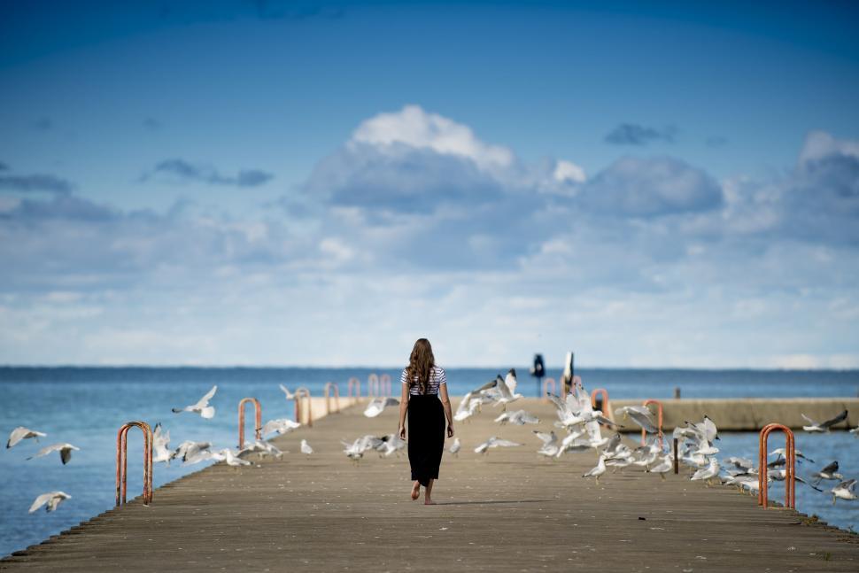 Free Image of Seagulls and Woman  