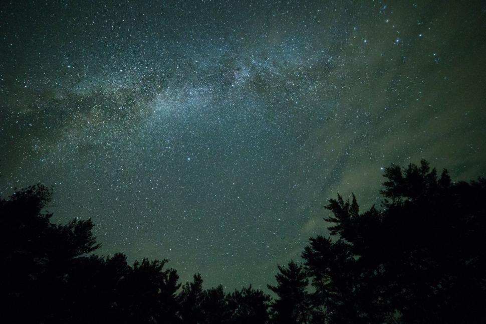 Free Image of Stars and Trees  