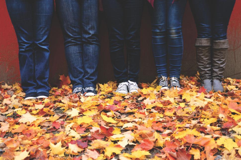 Free Image of Four People Legs on Maple Leaves 