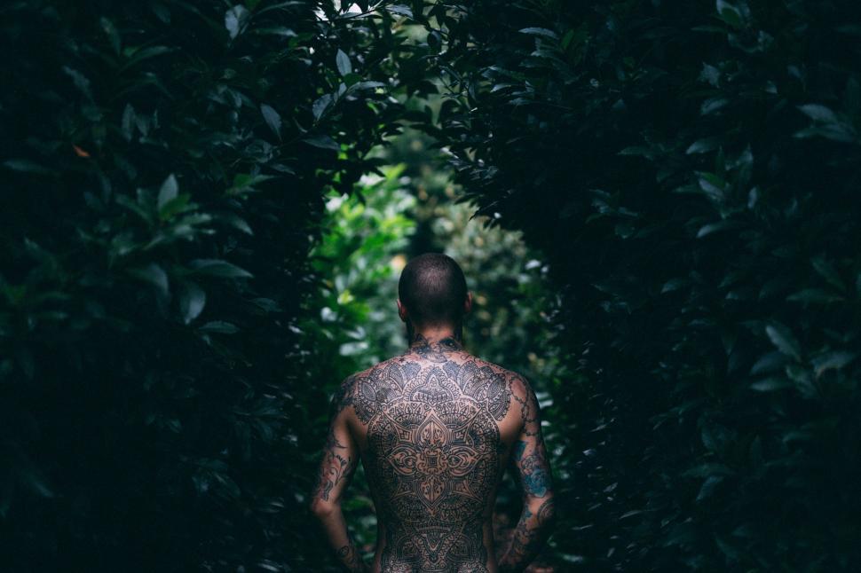 Free Image of Backside View of Tattooed Man 