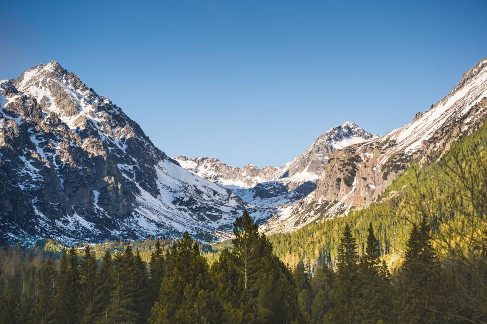 Free Image of Snow Mountains and Trees  