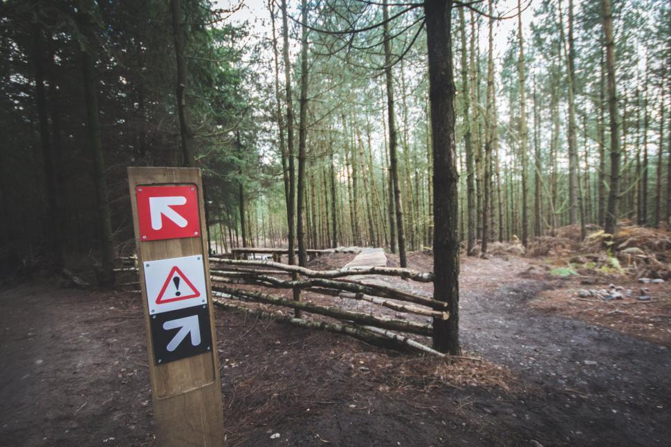 Free Image of Direction Signs and Trees 