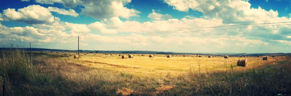 Free Image of Cropland and Hay Bales 