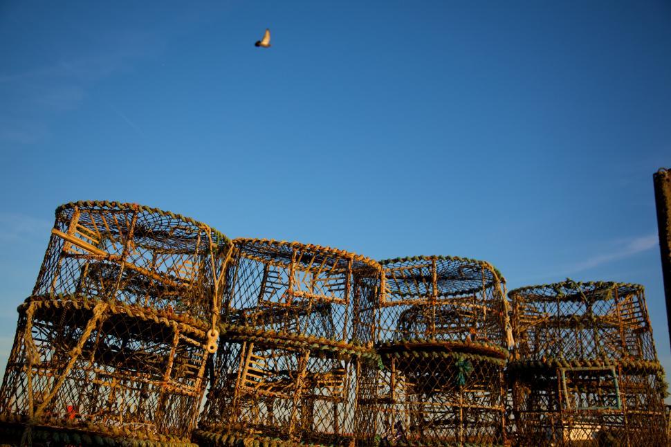 Free Image of Bird Flying Over Metal Cages 