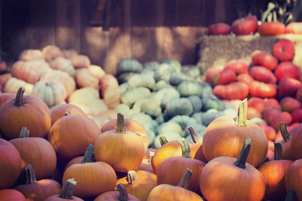 Free Image of Pumpkins for sale in farmer market  
