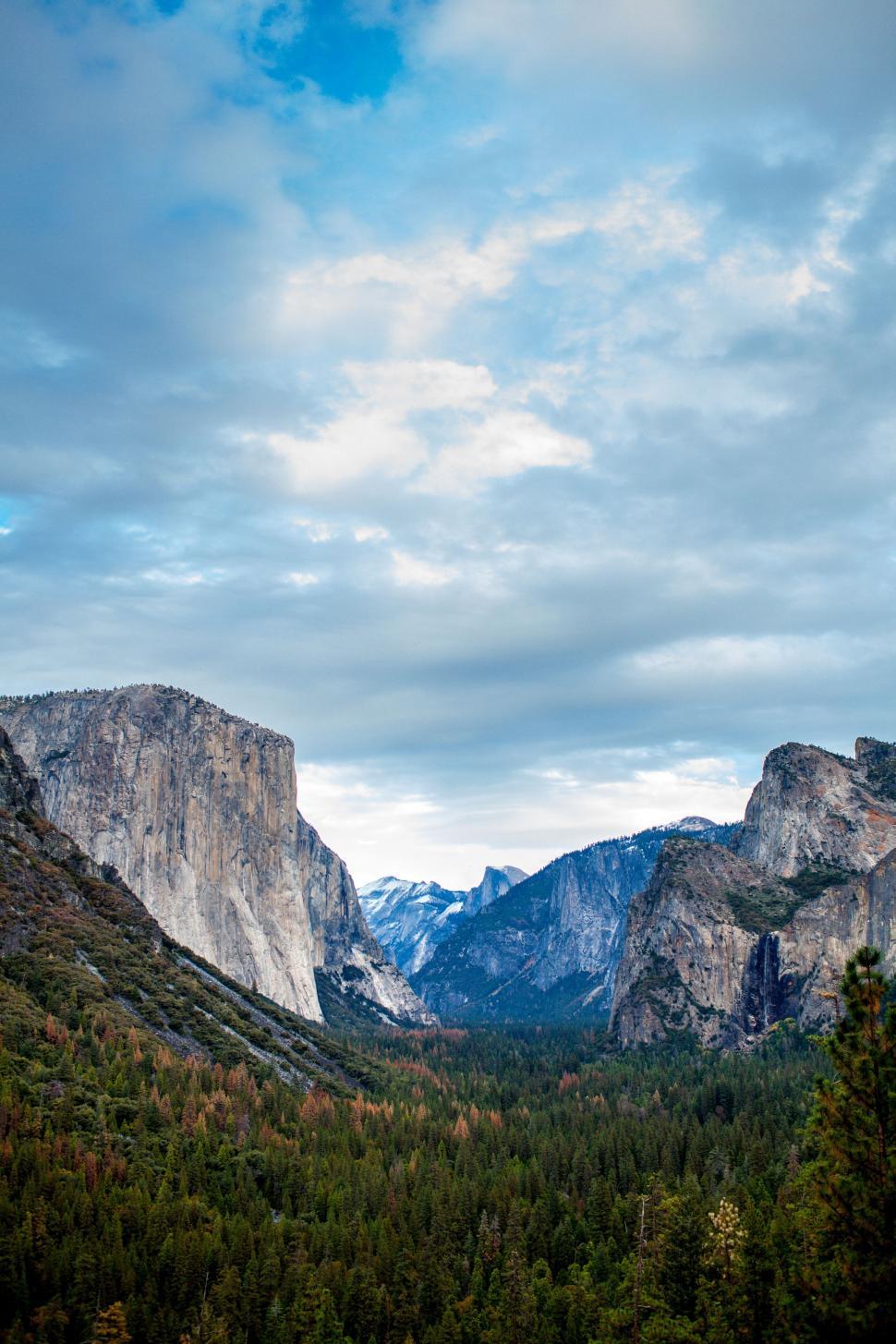 Free Image of Trees and Rock Mountains  