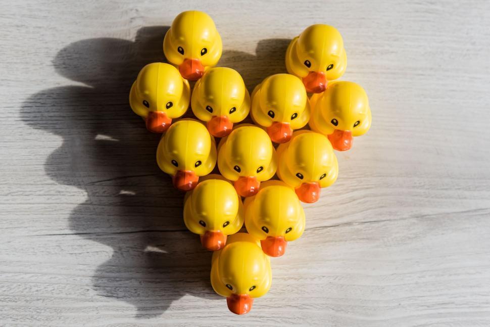 Free Image of Yellow Rubber Ducks  