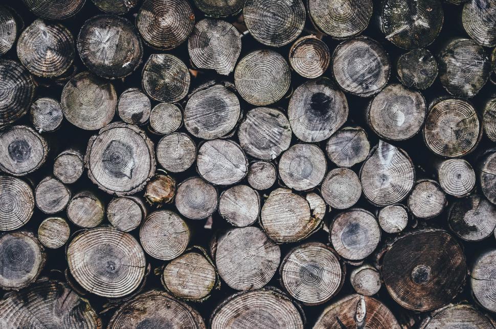 Free Image of Wood log - Background 