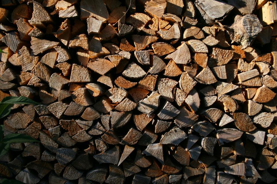 Free Image of Chopped wood logs  