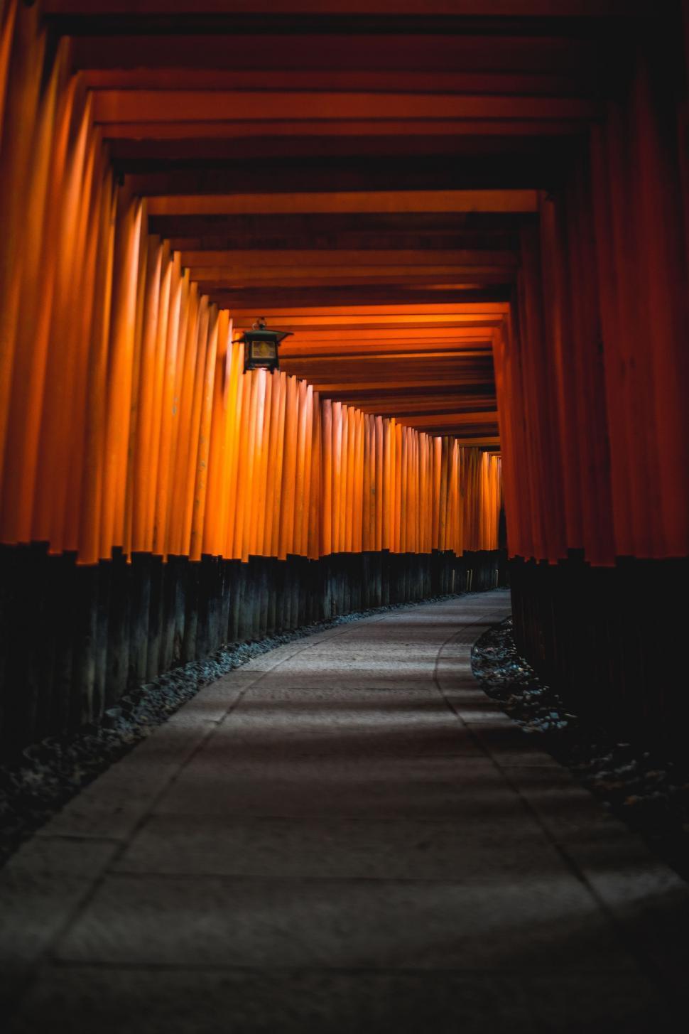 Free Image of Orange torii gates 